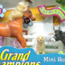 Grand Champions Package