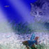 Tootie's Dream